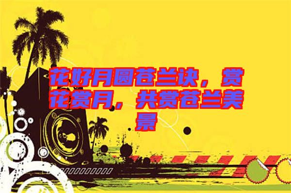 花好月圓蒼蘭訣，賞花賞月，共賞蒼蘭美景