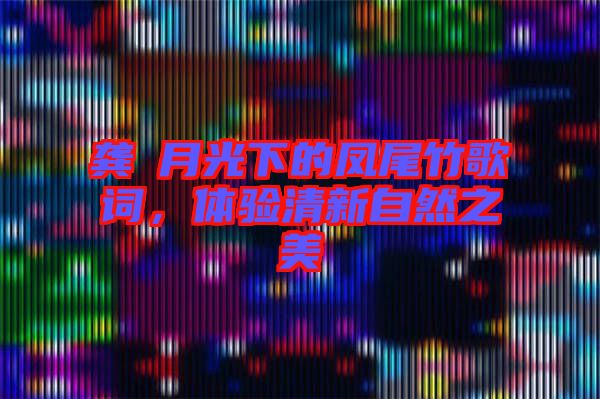 龔玥月光下的鳳尾竹歌詞，體驗清新自然之美