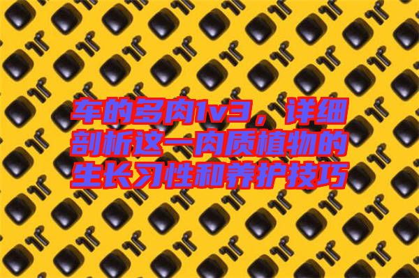 車的多肉1v3，詳細(xì)剖析這一肉質(zhì)植物的生長習(xí)性和養(yǎng)護(hù)技巧