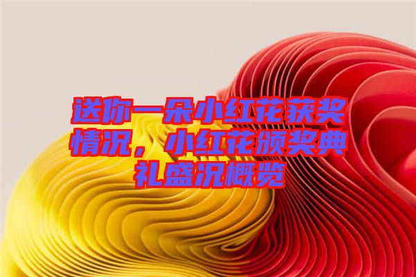 送你一朵小紅花獲獎情況，小紅花頒獎典禮盛況概覽