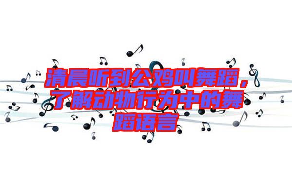 清晨聽(tīng)到公雞叫舞蹈，了解動(dòng)物行為中的舞蹈語(yǔ)言